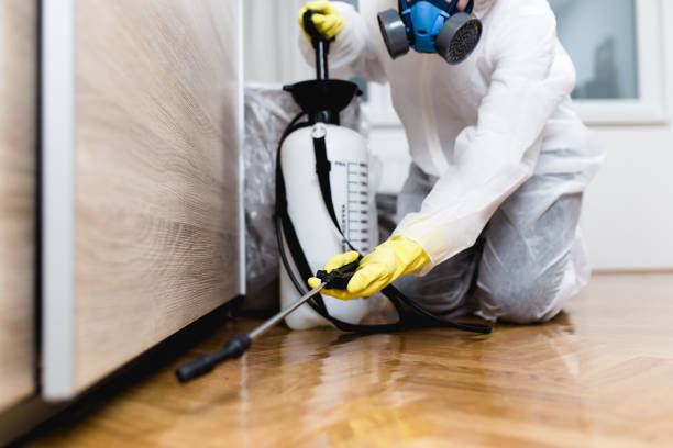 Best Pest Control for Businesses  in Reedley, CA