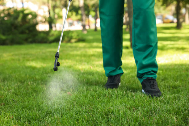 Best Local Pest Control Services  in Reedley, CA