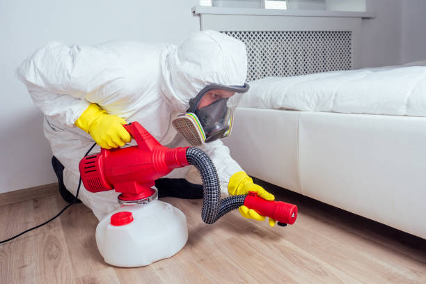 Best Bed Bug Extermination  in Reedley, CA