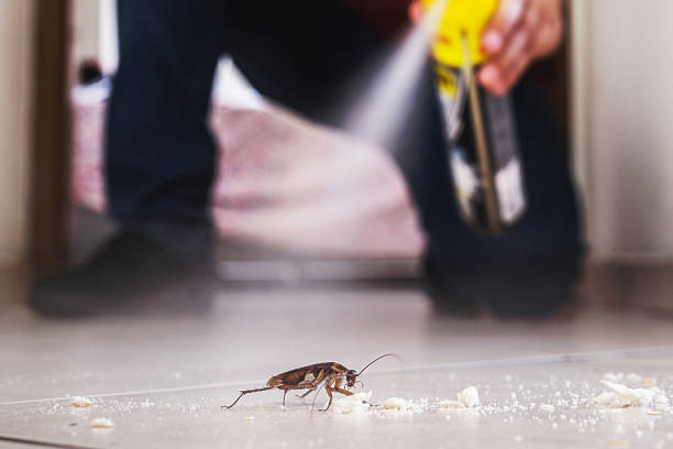 Pest Prevention Services in Reedley, CA